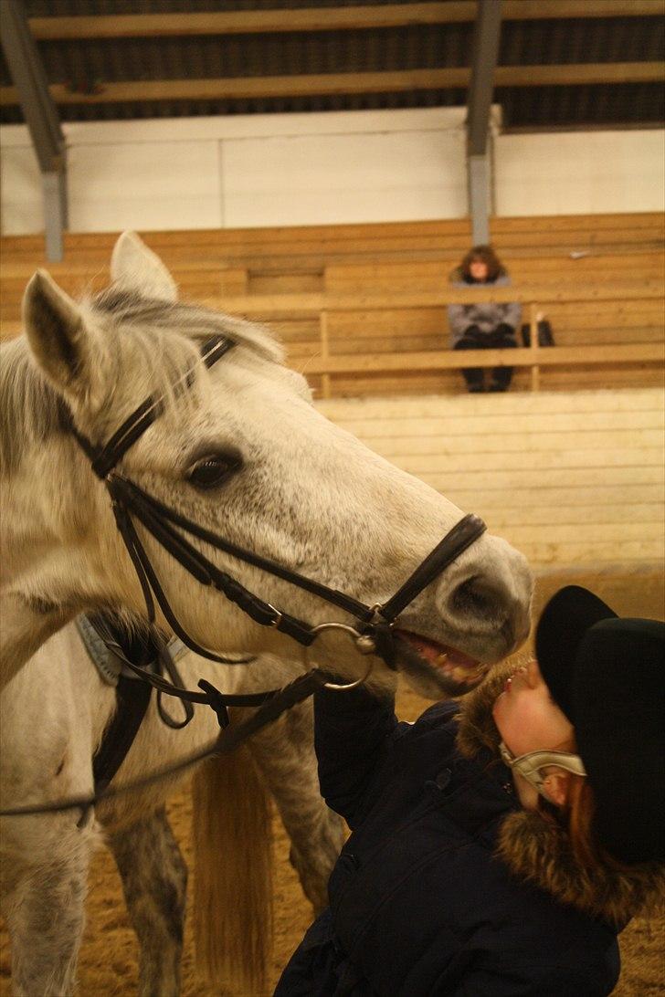 Anden særlig race Gordon •Fortid;(• SAVNET! - 10) Et kys bliver til en lækker bisken..MAD xD<3 nej,nej Golle(y) jeg kan ikke spises!!:D.. Foto:OM© billede 9