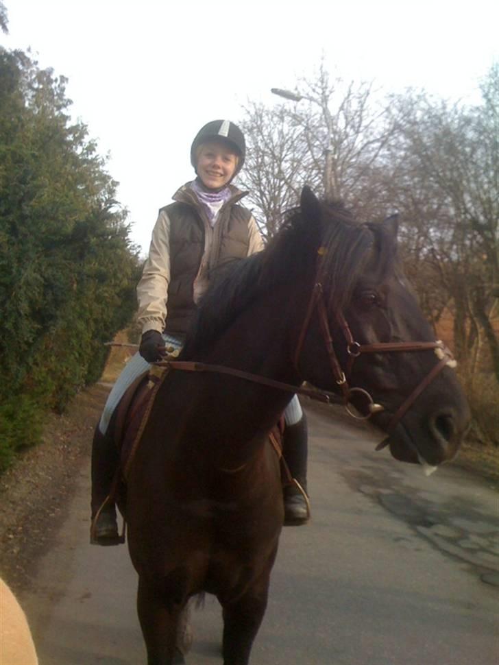 Anden særlig race Simply Grey (R.I.P) - Miig på Sims, på tur! :D Super hyggeligt! :D billede 7