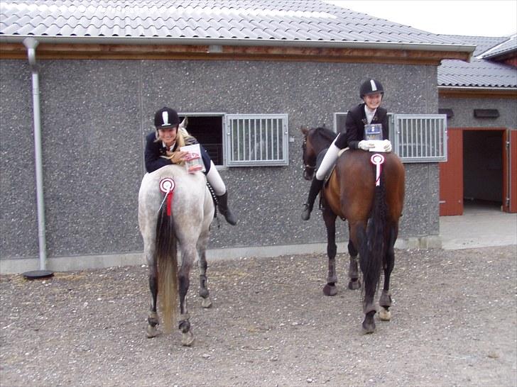 Holstener Hesteløkkens Chic - Mig og søster har netop vunder springparcuppen på Bogø :D flotte præmier fra Fryland billede 7