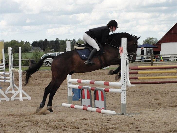 Holstener Hesteløkkens Chic - Military i Ringsted cnc80 springdelen 0 fejl billede 8