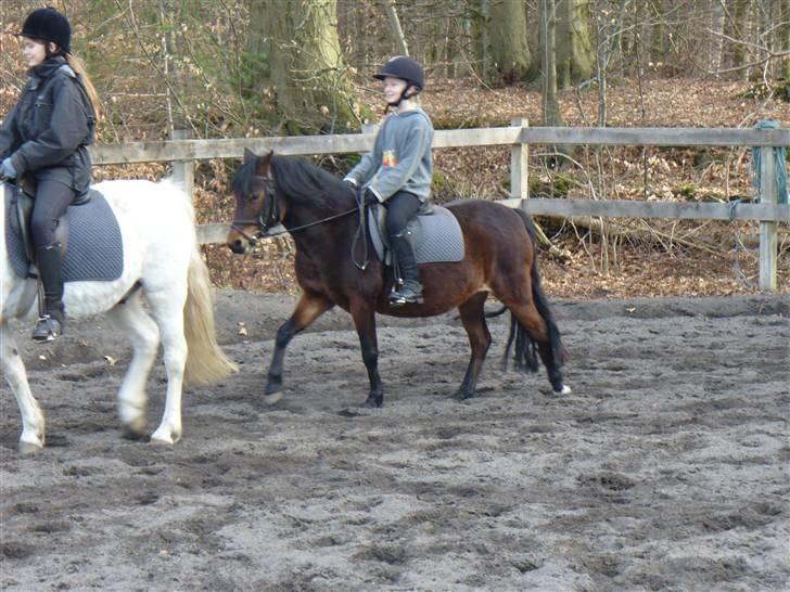 Anden særlig race Mia Maia - Fedeberg fedesen xD billede 5