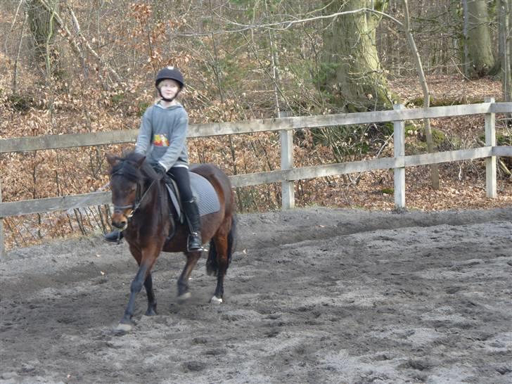 Anden særlig race Mia Maia billede 6