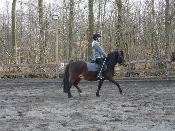 Anden særlig race Mia Maia - Lidt underligt billede måske :\ Jeg har også forandret mig meget siden.. stadig et mærkeligt billede xD billede 7