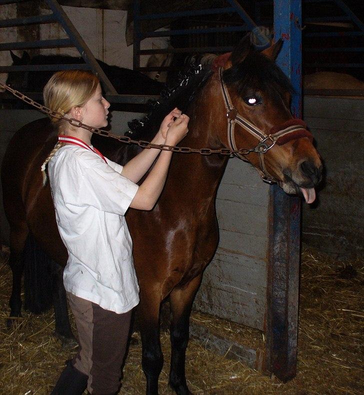 Anden særlig race Mia Maia - igang med at flætte rosenknupper op og imens rækker Mia Maia bare tunge :O billede 8