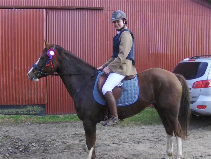 DSP La Rosa billede 11