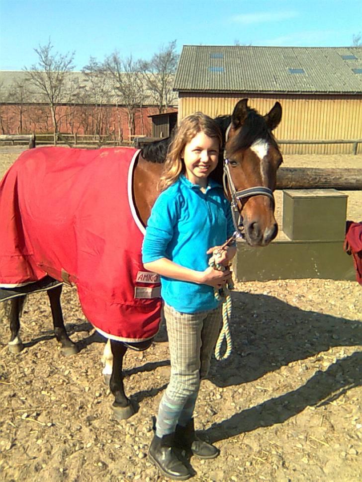 Anden særlig race Spotlight  - Mig og Spotlight<3 billede 12