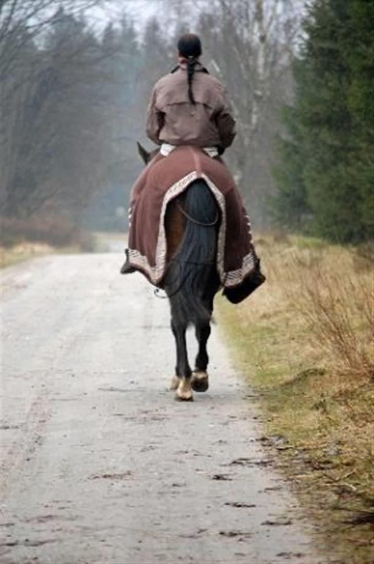 Fuldblod (XX) Mufasa *R.I.P* - Mig på Muffe.. forår 2009 billede 6