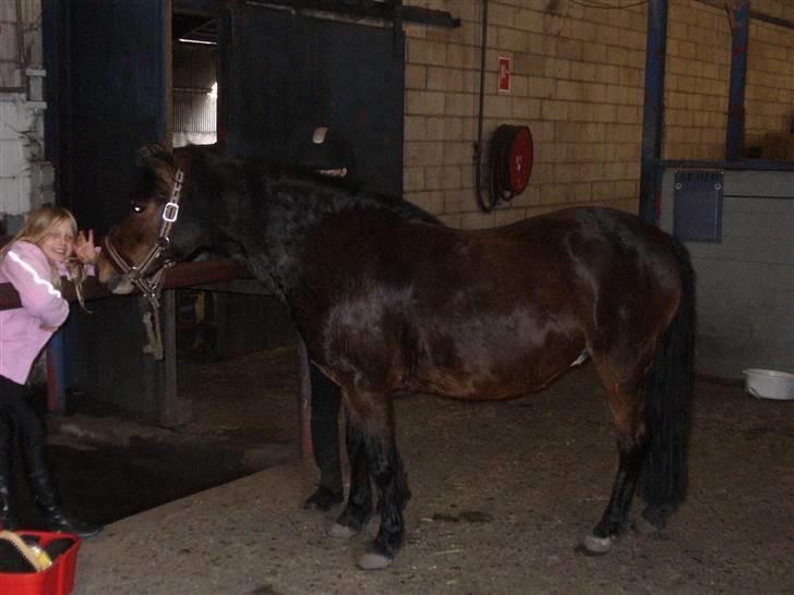 Anden særlig race Mia Maia -  det er min veninde Nikita og Mia Maia billede 10