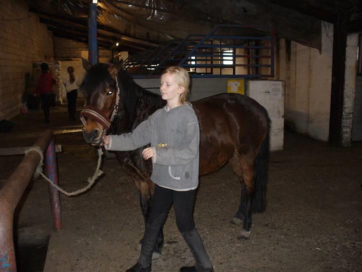 Anden særlig race Mia Maia - Man kan lige skimte hendes sved billede 11