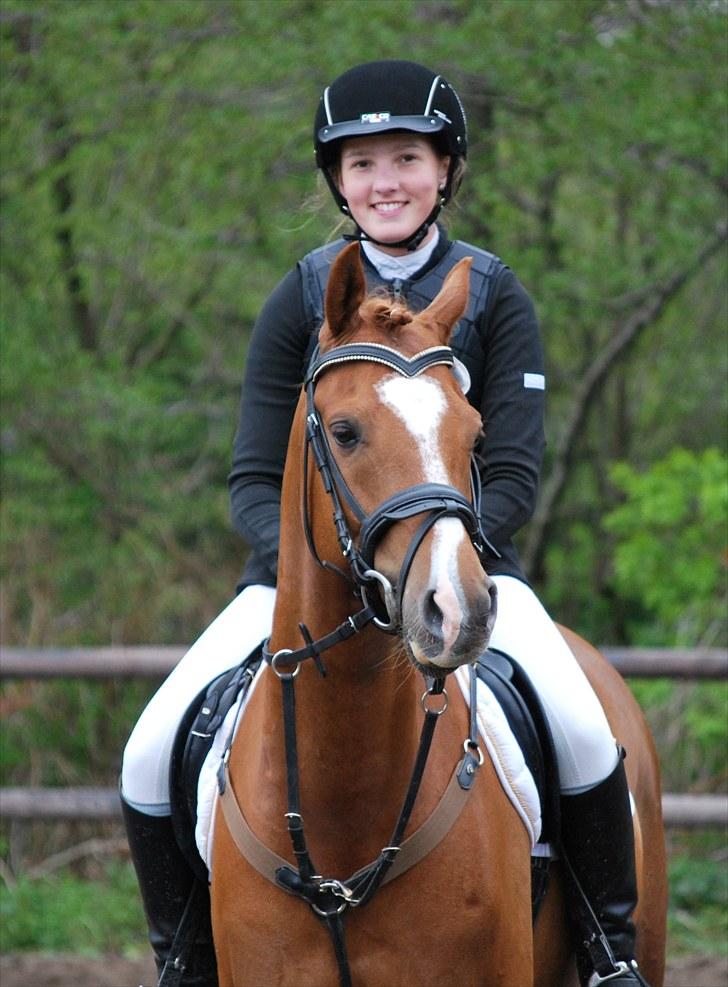 DSP Tesoro - Præmiesild ... <3 billede 4