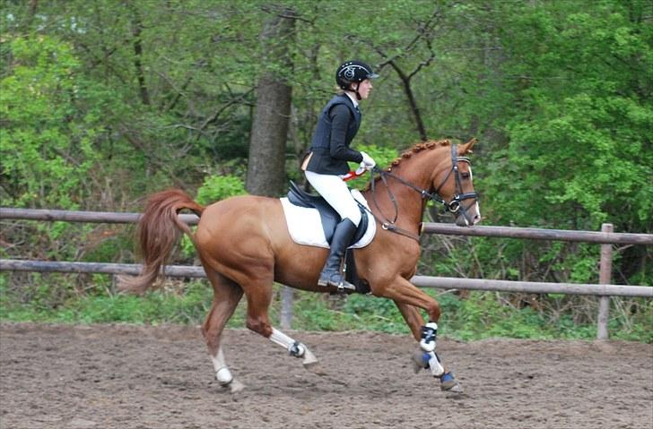 DSP Tesoro - Æresrunde 1. plads LB ... <3 billede 6