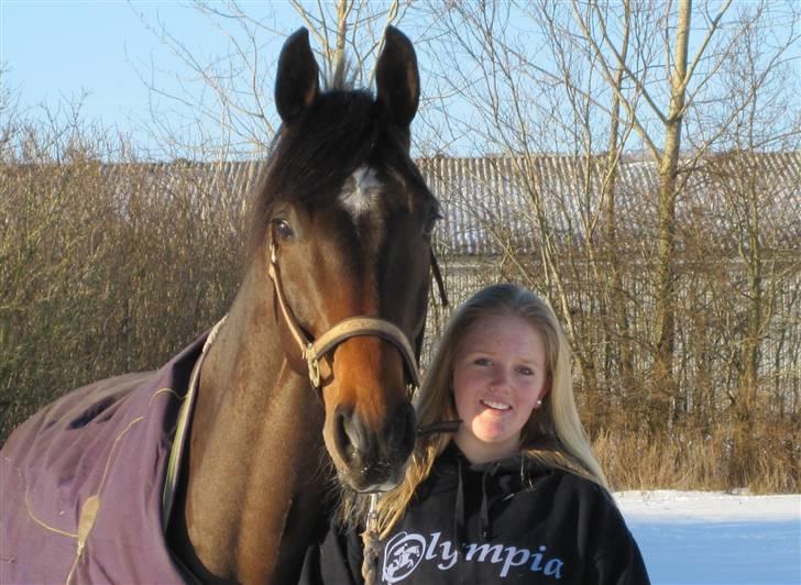 Dansk Varmblod Comengo Mosely *SOLGT* - Sidste dag på rideskolen :s billede 14