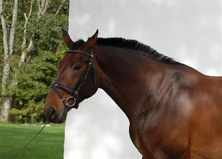 Oldenborg fredrik - taget af sanne billede 6