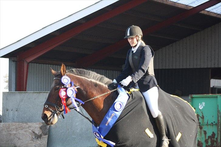 Oldenborg fredrik -  frede og jeg til gjern efterårs cup 2010, u-Le fejlfri, Ld fejlfri 2 plads samt 2 plads i cuppen billede 7