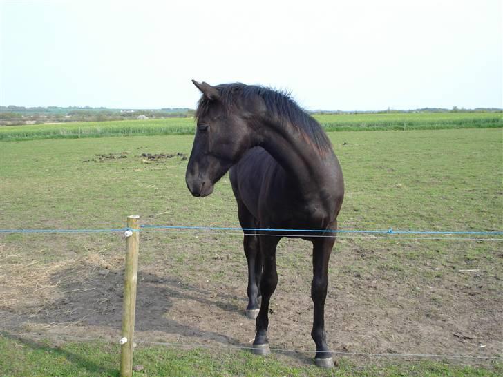 Oldenborg Leika billede 11