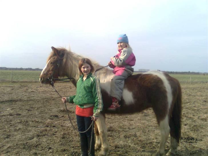 Anden særlig race Moonlight - Den første ridetur er altid den mest spændende!  billede 3