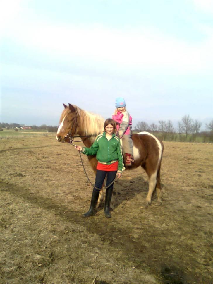 Anden særlig race Moonlight - Og man er vel stolt af sin nye hest!? :-) billede 4