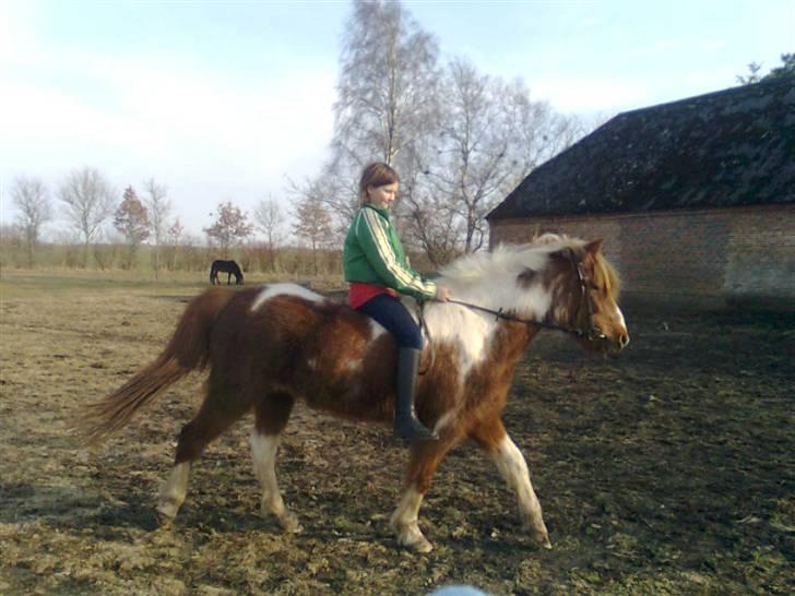 Anden særlig race Moonlight - Siv prøver hende lidt af ... ;-) billede 7