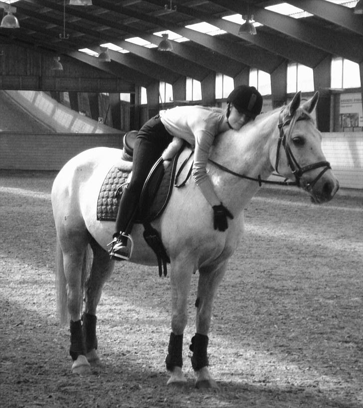 Anden særlig race Silverlea Picasso-gl.part -  <3 august 2010 billede 12