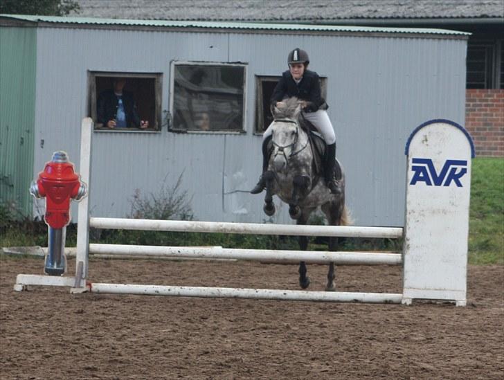 Anden særlig race Silver Moon (part) <3 - Silver Moon og jeg til stævne 12. september :D LB 4. plads <3 foto: camilla (: billede 14