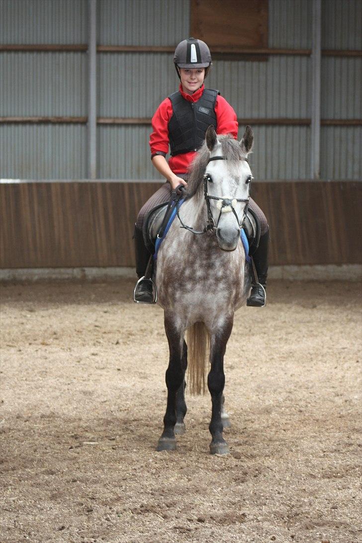 Anden særlig race Silver Moon (part) <3 - elsker dig pony<3 du er bare så dejlig!! som et lyn, der slog ned, du ramte flammen i mig<3 foto: camilla :D´ . billede 15