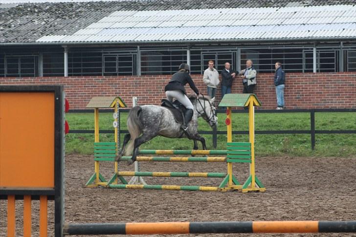 Anden særlig race Silver Moon (part) <3 - Silver Moon flyvende over oxer i omspringning i LB :D<3 foto:camilla d; <3 billede 16