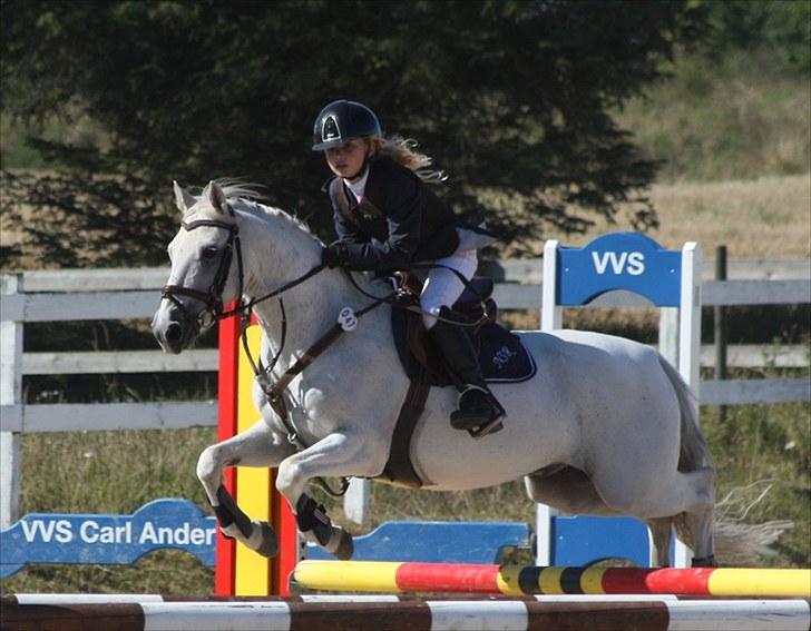 Anden særlig race Willow Lord - Distriktsmesterskab 2010 på Helsinge billede 13