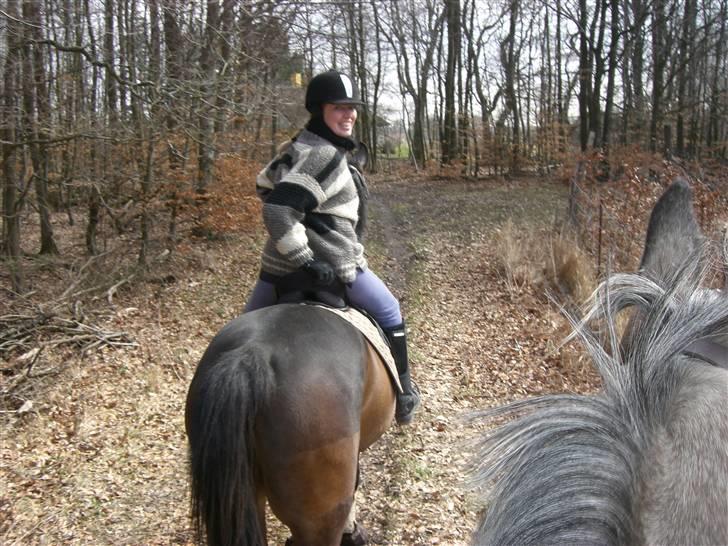 Dansk Varmblod Niendamgaards Morgan - I skoven påsken 2010 :) billede 14