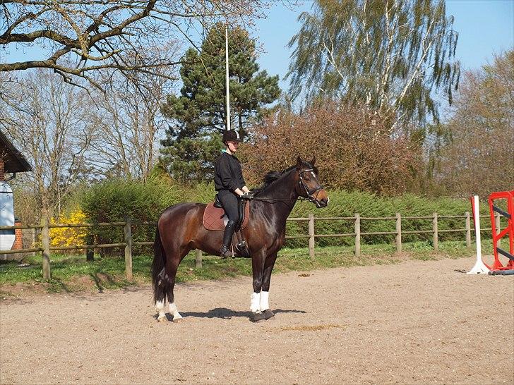 Anden særlig race _EMERSON - 24 April 11. billede 9