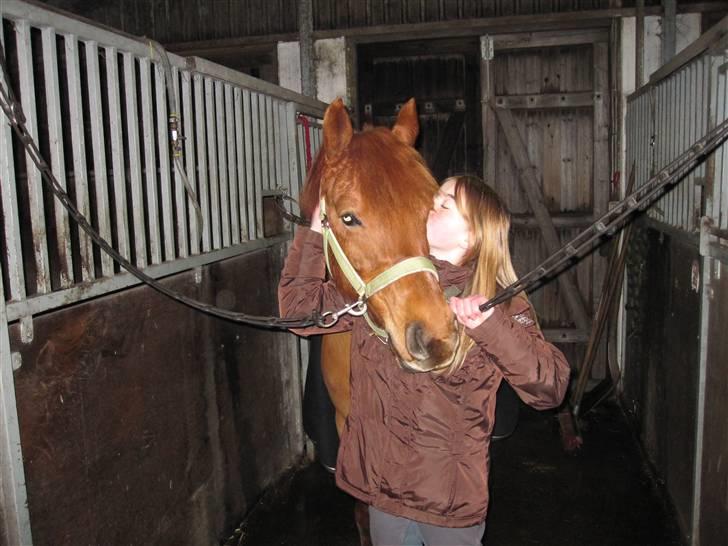 New Forest Debbie(Død) - I LOVE YOU DEBBIE billede 4