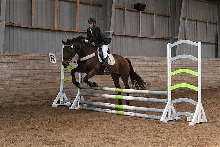 Dansk Varmblod Facit - 3 oktober 2010. Til stævne i Rosenholm og Omegns. Her er vi vist igang med omspringningen. Billedet er taget af Iza Krohn fra RORK - tak. billede 19