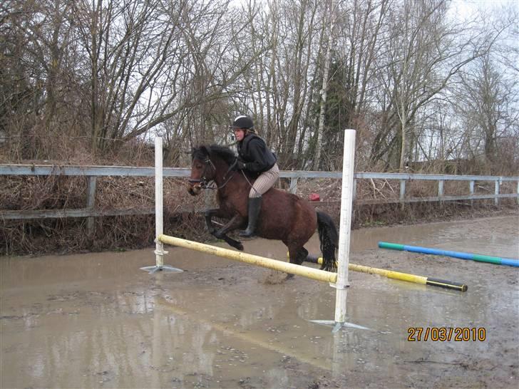 Anden særlig race Cassi. (Har passet) - <3<3 billede 6