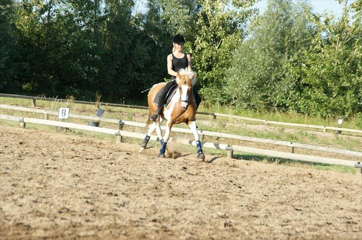 Anden særlig race Lucas  - KUN fordi du er perfekt! i; Jeg elsker dig:* billede 13