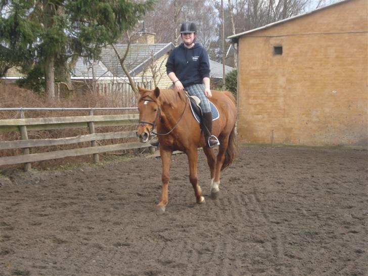 Fuldblod (XX) Malou *RIP* billede 6