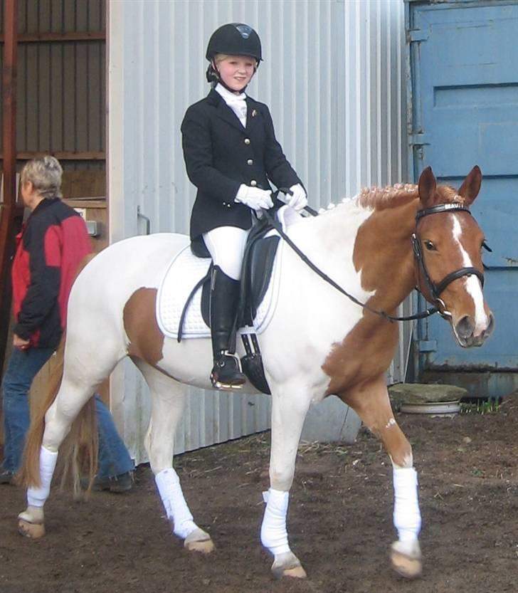 Anden særlig race Painted Beauty | - #20 Efter vores ridt :-) billede 20