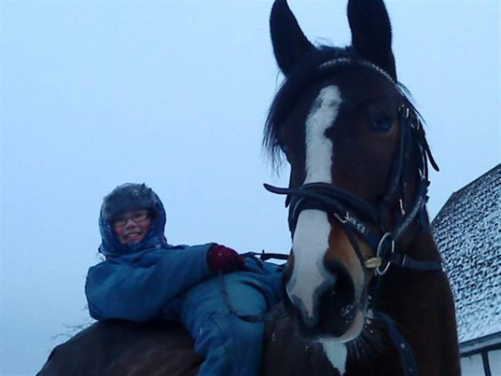 Pinto Horsebjerg Apashja - en hyggelig dag i snevejret. :D december 2009 billede 19