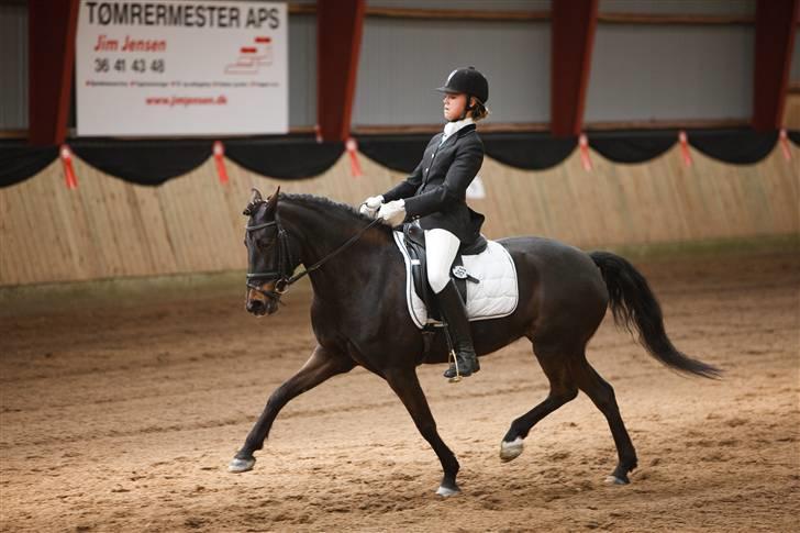 Anden særlig race Chanel billede 1