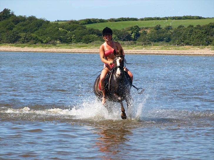 Anden særlig race Top Gun - SOLGT - velkommen til! jeg håber i vil kigge lidt på min profil, og se mit lækre jeg :-D!  billede 1