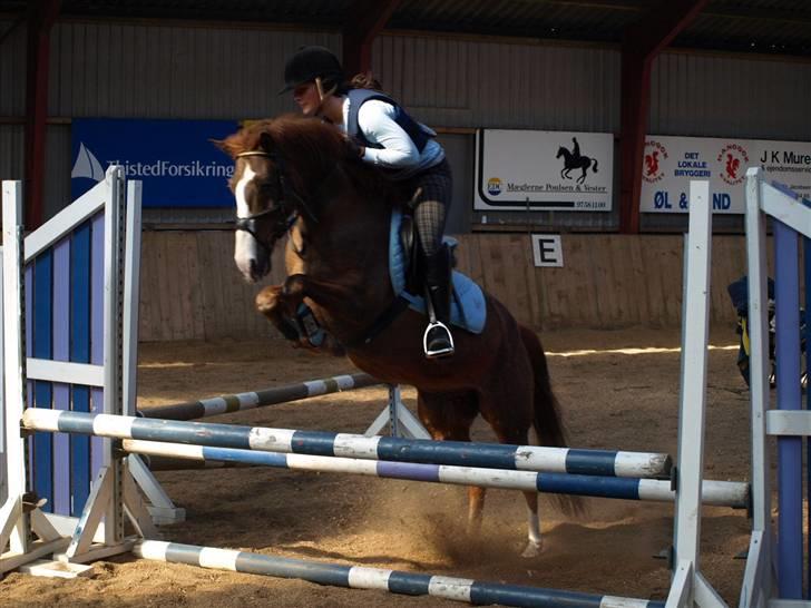 Anden særlig race Top Gun - SOLGT - jump jump skatte! foto: maria<3 billede 8