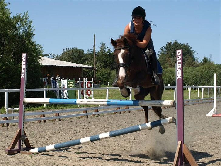 Anden særlig race Top Gun - SOLGT - springtræning juli :-D foto: emse<3 billede 9