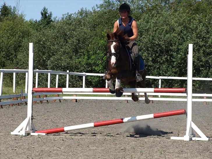 Anden særlig race Top Gun - SOLGT - foto:emse<3 billede 12