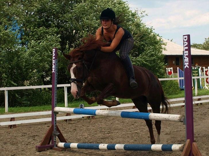 Anden særlig race Top Gun - SOLGT - springning uden sadel! :D foto: emme :* billede 13