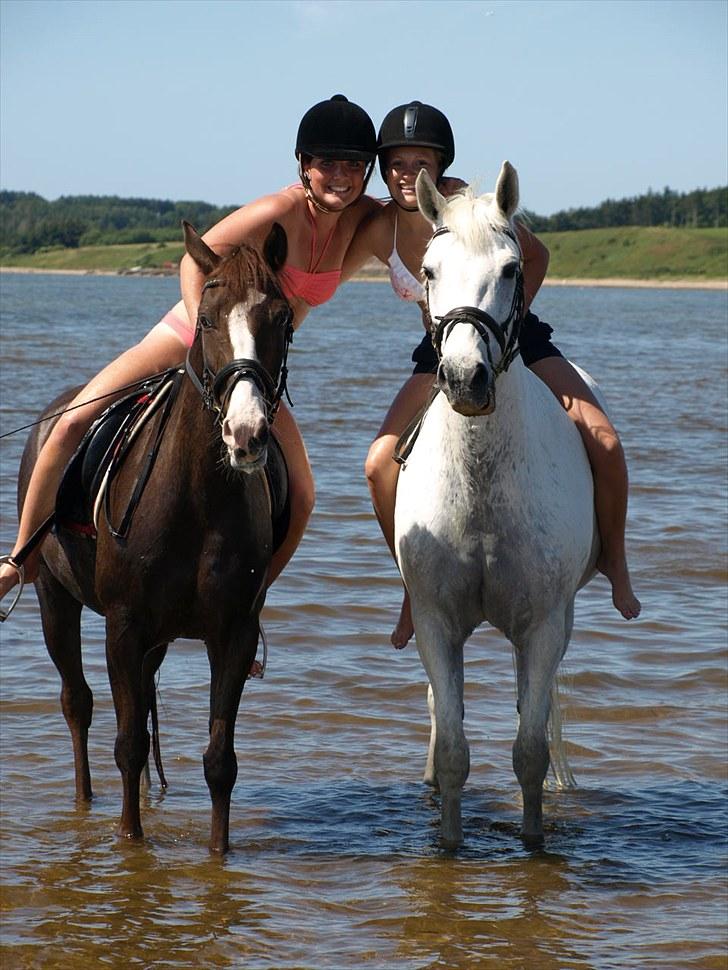 Anden særlig race Søholt's Robin - Sissel, Topgun, Robin og jeg<3 billede 4
