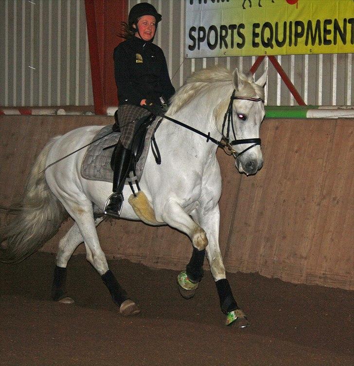 Anden særlig race Søholt's Robin - Jeg elsker dig smukke fyr! billede 9