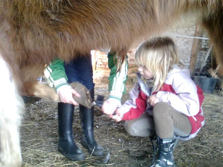 Anden særlig race Moonlight - Der er stadig ting der skal vises og forklares før man selv må... billede 9