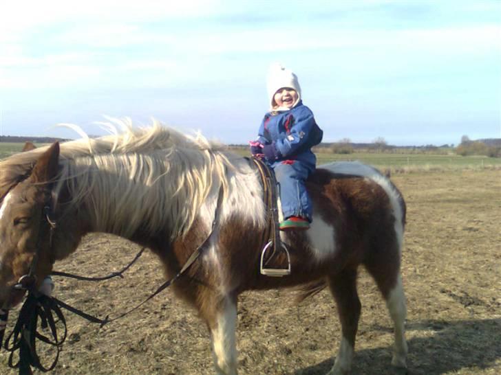 Anden særlig race Moonlight - Lillesøster vil også gerne prøve en tur! billede 12