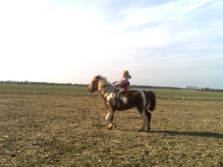 Anden særlig race Moonlight - Det er ikke så let første gang...... billede 14