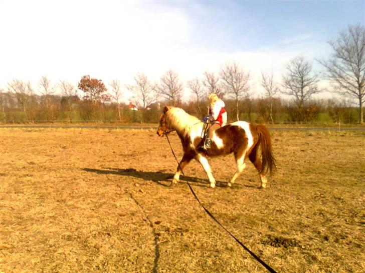 Anden særlig race Moonlight - Det kommer.... billede 15