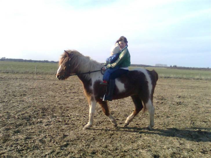 Anden særlig race Moonlight - En tur var ikke nok til Pernille... Æv! billede 17