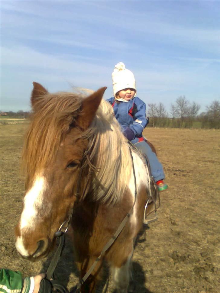 Anden særlig race Moonlight - Jeg må jo bare være en god søster og dele, selv omjeg ikke altid har lyst! billede 18